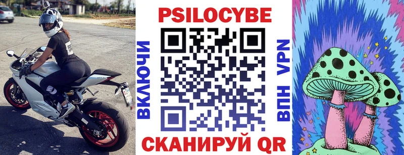 Галлюциногенные грибы Psilocybe  Тарко-Сале 